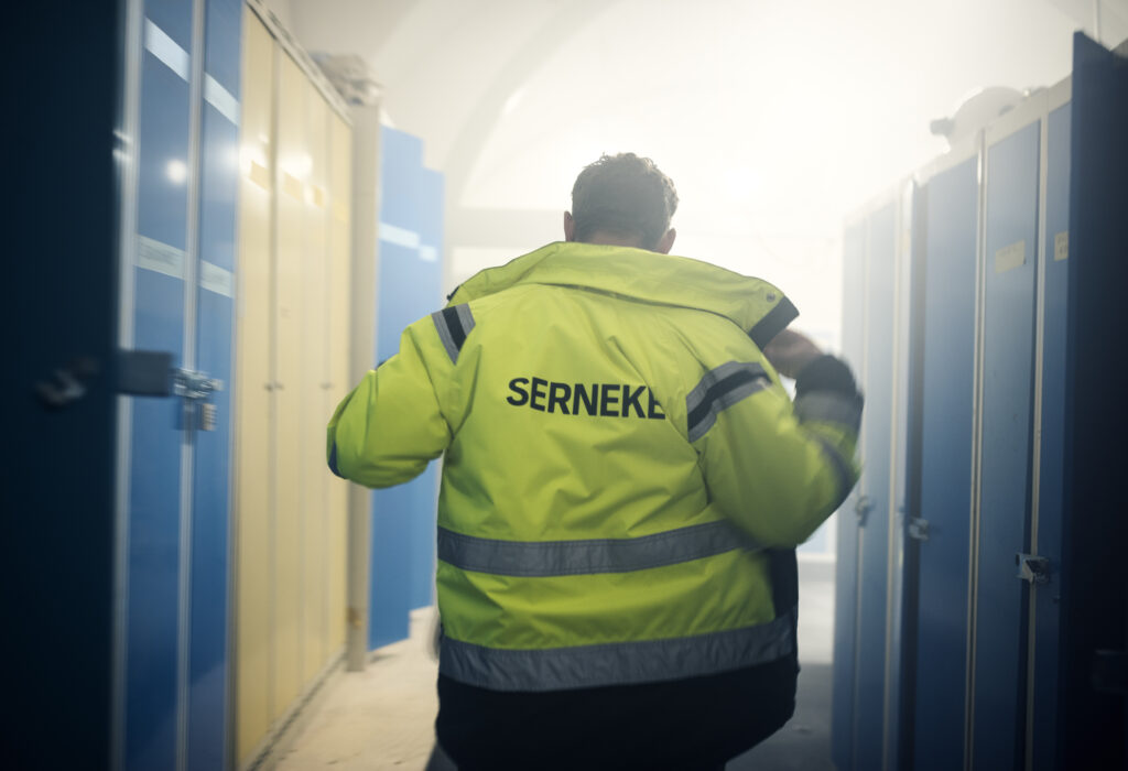 Sernekes VD avgår