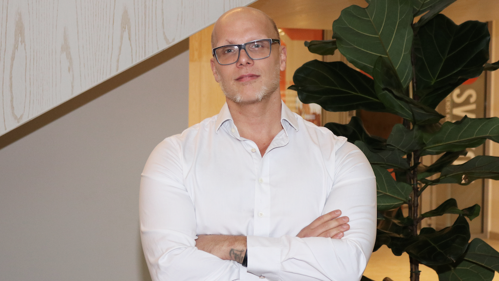 Magnus Järnhandske, IT-säkerhetsexpert