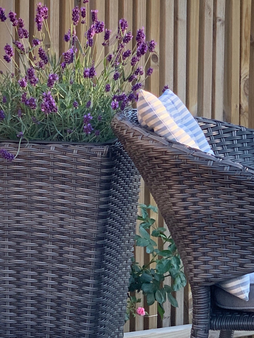 uteplats, möbler , lavendel